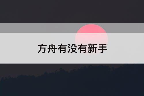 方舟有没有新手