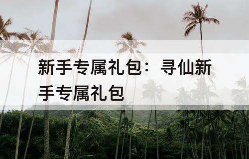 新手专属礼包：寻仙新手专属礼包