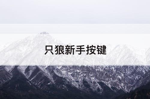 只狼新手按键