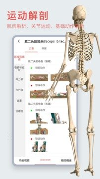 3Dbody解剖截图