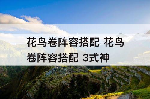 花鸟卷阵容搭配 花鸟卷阵容搭配 3式神