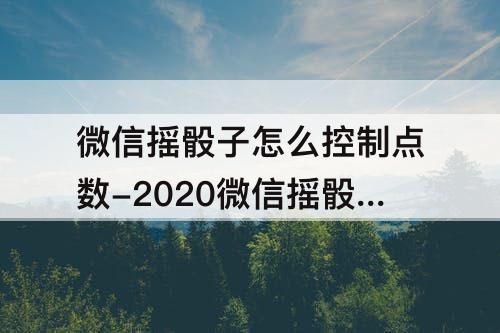 微信摇骰子怎么控制点数-2020微信摇骰子怎么控制点数插件最新