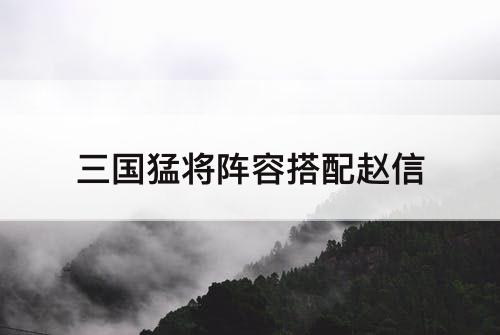三国猛将阵容搭配赵信