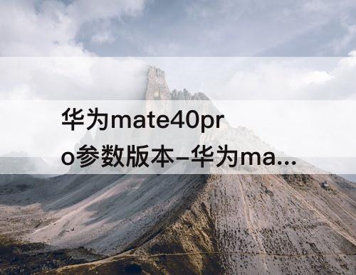 华为mate40pro参数版本-华为mate40pro参数版本没有