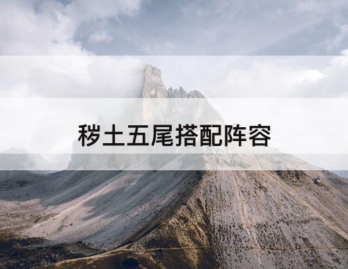 秽土五尾搭配阵容
