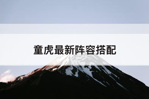 童虎最新阵容搭配