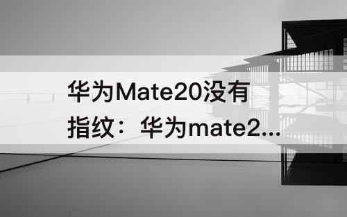 华为Mate20没有指纹：华为mate20没有指纹选项