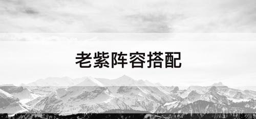 老紫阵容搭配