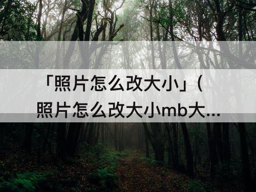 「照片怎么改大小」(照片怎么改大小mb大小)
