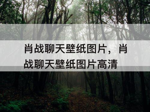 肖战聊天壁纸图片，肖战聊天壁纸图片高清