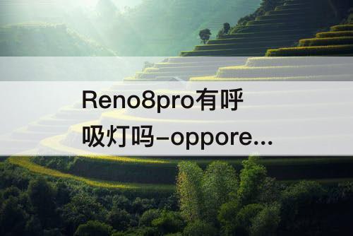 Reno8pro有呼吸灯吗-opporeno8pro有呼吸灯吗