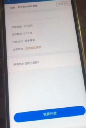 金蝶效贷app截图