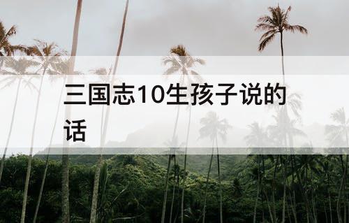 三国志10生孩子说的话