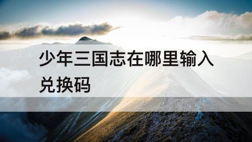 少年三国志在哪里输入兑换码
