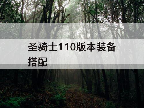 圣骑士110版本装备搭配
