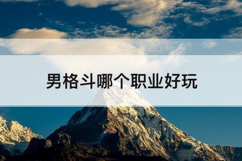 男格斗哪个职业好玩