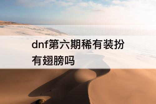 dnf第六期稀有装扮有翅膀吗