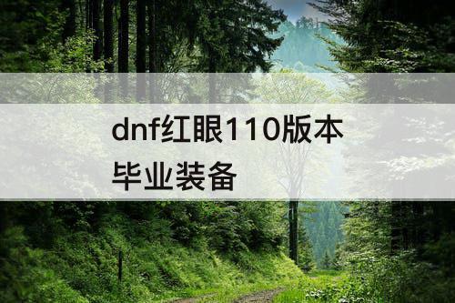 dnf红眼110版本毕业装备