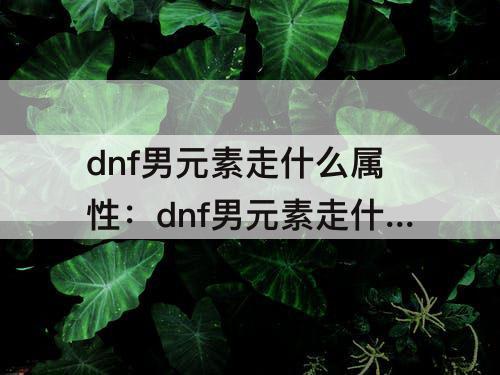 dnf男元素走什么属性：dnf男元素走什么属性强化