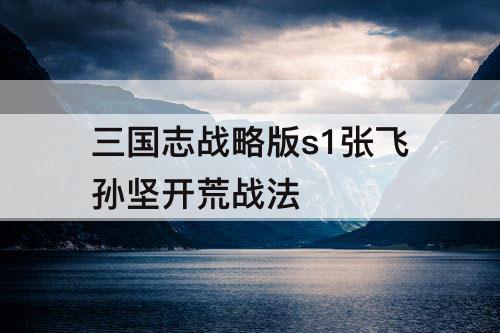 三国志战略版s1张飞孙坚开荒战法
