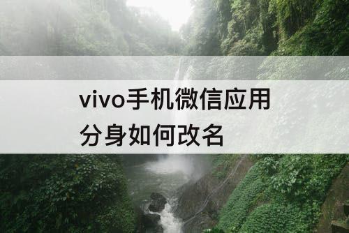 vivo手机微信应用分身如何改名