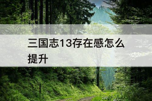 三国志13存在感怎么提升