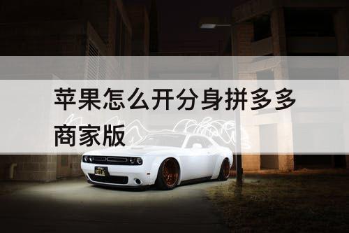 苹果怎么开分身拼多多商家版