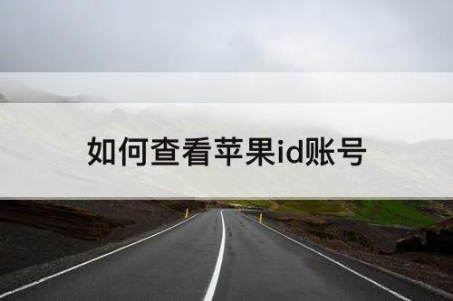 如何查看苹果id账号