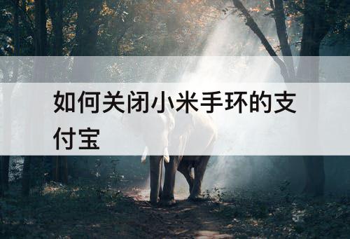 如何关闭小米手环的支付宝