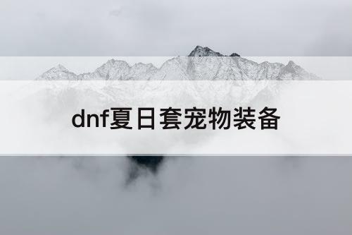 dnf夏日套宠物装备