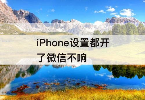 iPhone设置都开了微信不响