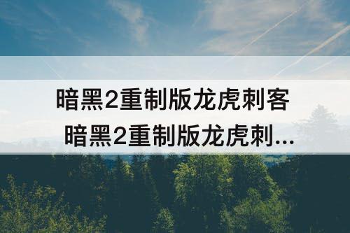 暗黑2重制版龙虎刺客 暗黑2重制版龙虎刺客加点攻略