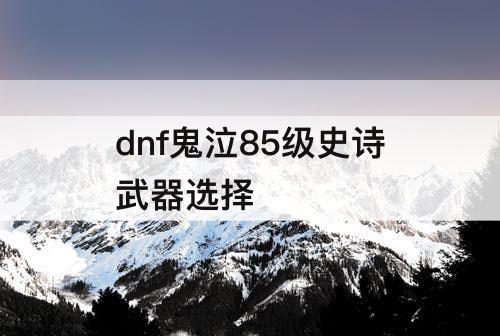 dnf鬼泣85级史诗武器选择