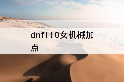 dnf110女机械加点