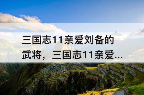 三国志11亲爱刘备的武将，三国志11亲爱刘备的武将太多了吧