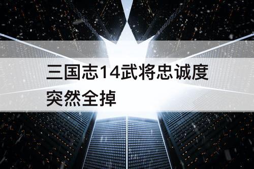 三国志14武将忠诚度突然全掉
