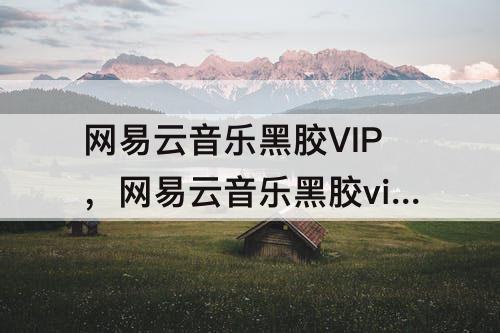 网易云音乐黑胶VIP，网易云音乐黑胶vip等级系统