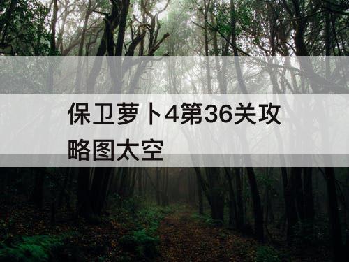 保卫萝卜4第36关攻略图太空