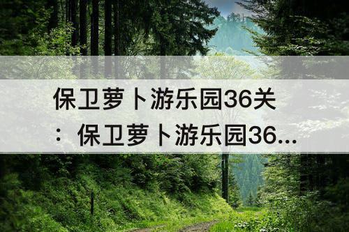 保卫萝卜游乐园36关：保卫萝卜游乐园36关金萝卜攻略