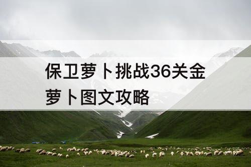 保卫萝卜挑战36关金萝卜图文攻略