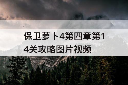 保卫萝卜4第四章第14关攻略图片视频