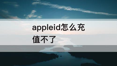 appleid怎么充值不了