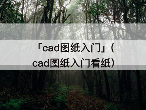 「cad图纸入门」(cad图纸入门看纸)