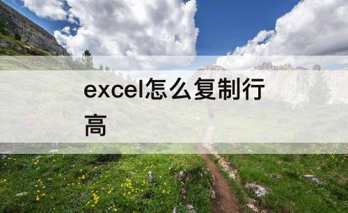 excel怎么复制行高