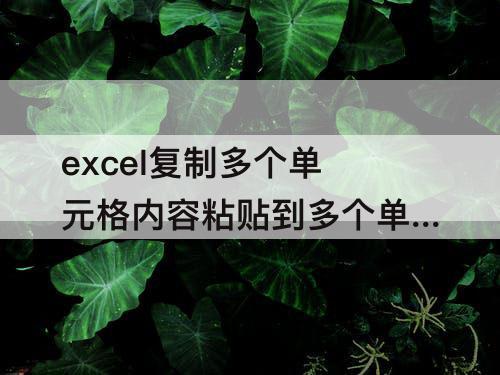 excel复制多个单元格内容粘贴到多个单元格