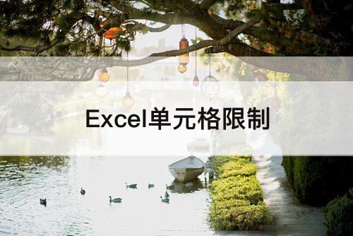Excel单元格限制
