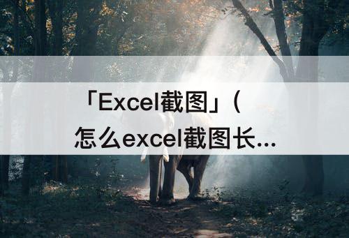「Excel截图」(怎么excel截图长图片)