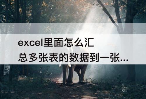 excel里面怎么汇总多张表的数据到一张表