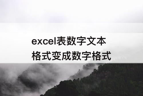 excel表数字文本格式变成数字格式