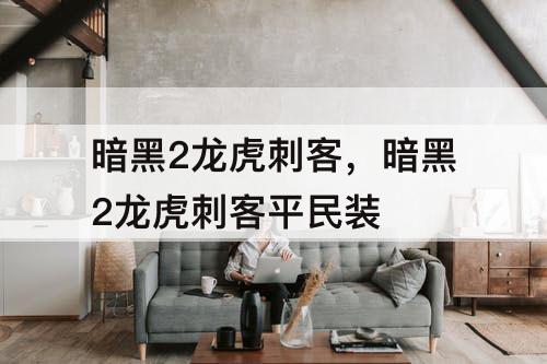 暗黑2龙虎刺客，暗黑2龙虎刺客平民装